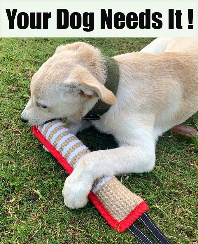 Clysoru Tug Toy for Dogs Jute Bite Resistant Pillow - Lasting Training Equipment Puppy to Large Dogs Interactive Toy with 2 Strong Handles