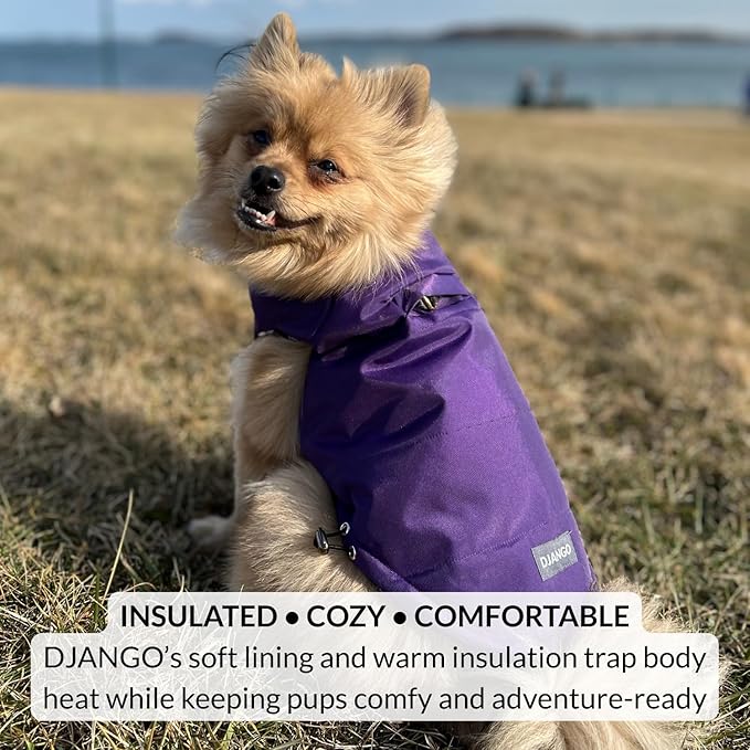 DJANGO Reversible Puffer Dog Coat – Warm Winter Dog Jacket & Water-Repellent Insulated Dog Coat w/Harness Hole, Windproof, Adjustable Fit for Small & Medium Dogs, Dachshunds – Violet Purple, Medium