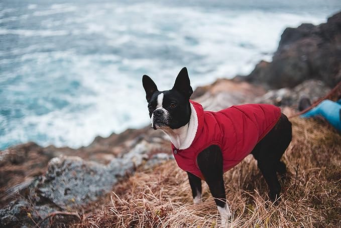 Windproof Waterproof Dog Coat Fleece & Cotton Lined Warm Jacket, Cold Weather Pet Apparel Clothes Vest for Small Medium Large Dog (L, Red)