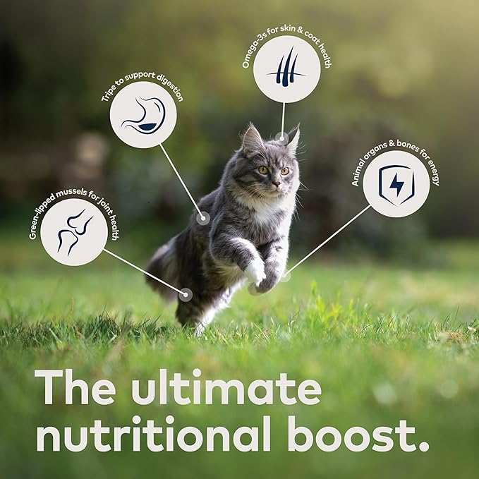 ZIWI Peak Wet Cat Food – All Natural, High Protein, Grain Free, Limited Ingredient, with Superfoods (Lamb, Case of 24, 3oz Cans)