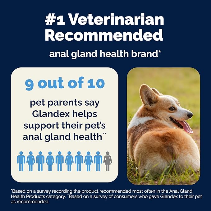Vetnique Glandex Dog Fiber Supplement Powder for Anal Glands with Pumpkin, Digestive Enzymes & Probiotics - Vet Recommended (Regular or Advanced Strength) - Boot The Scoot (5.5oz Powder, Beef Liver)