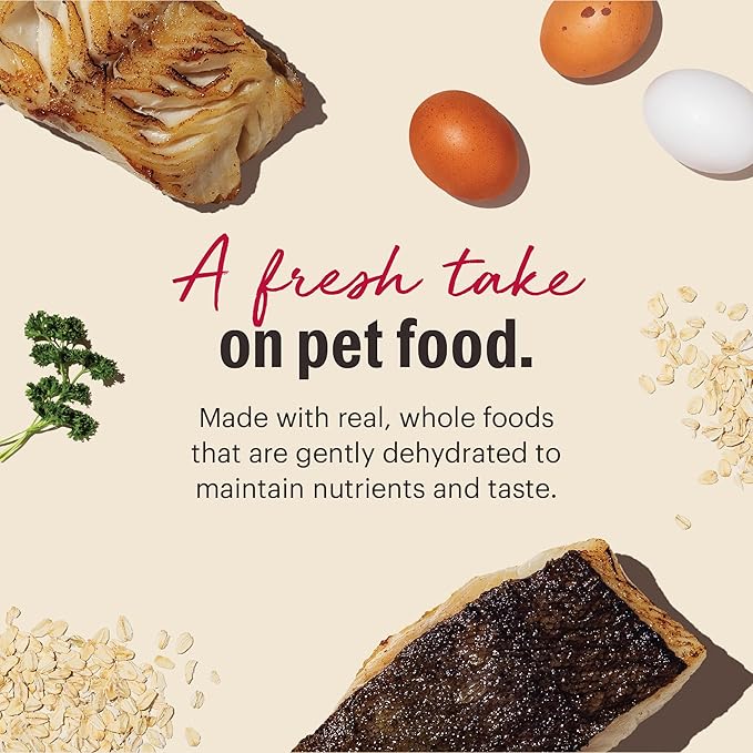 The Honest Kitchen Wholemade™ Whole Grain Fish & Oats Dog Food, 4 lb Box