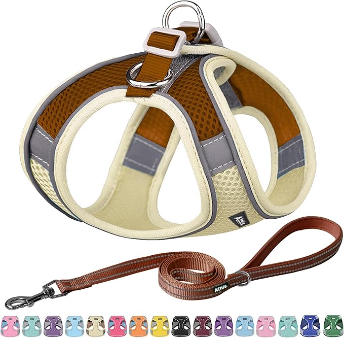 AIITLE Step in Dog Harness and Leash Set - Summer No Pull Escape Proof Vest Harnesses with Soft Mesh and Reflective Bands, Adjustable Pet Outdoor Harnesses for Small and Medium Dogs Beige M