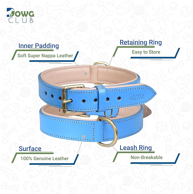 Leather Dog Collar for Medium Dogs, Blue, 1 Inch Wide, Genuine Leather, Heavy Duty with Soft Inner Padding, Comfortable and Durable (Medium (Fit Neck Size 14.5"-18.5"), Blue)