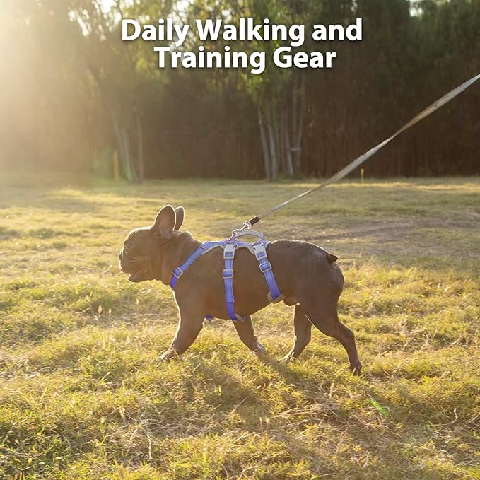 Huntboo Escape Proof Harness for Dogs, No Escape Dog Harness, No Pull Dog Harness for Small Dogs with Handle, Reflective, Breathable,Durable, Adjustable Vest for Walking,and Running Gear(Vista Blue,S)