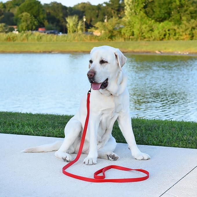 Dogline Biothane Waterproof Dog Leash Strong Coated Nylon Webbing with Black Hardware Odor-Proof Easy to Clean High Performance for Small or Large Dogs Made in USA 4 or 6 ft Lead, Cherry Red