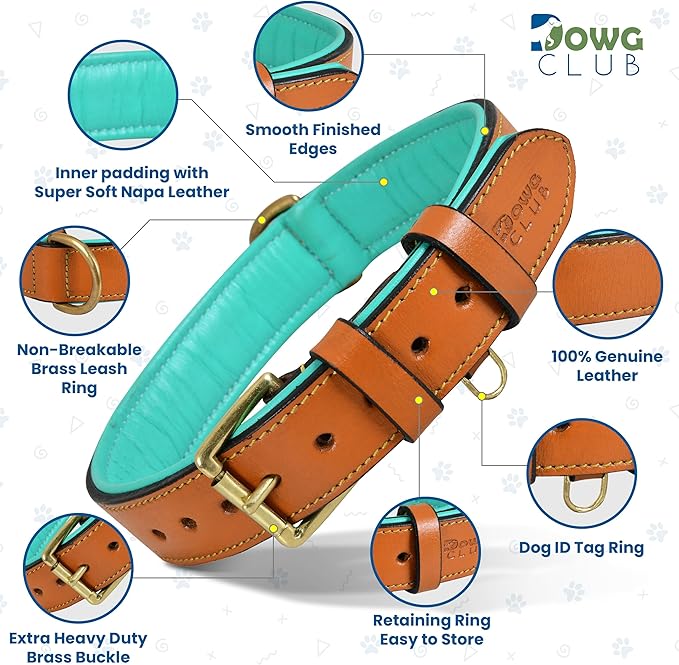 Genuine Leather Dog Collar | Full Grain, Heavy Duty, Comfortable, Padded, Strong | Best for Pups, Small, Medium, Large & XL Breeds (Small (Fit Neck Size 11.5"-14.5"), Tan)