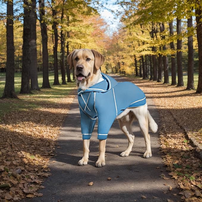 Basic Dog Hoodie Sweatshirts, Pet Clothes Hoodies Sweater with Hat and Leash Hole, Soft Cotton Outfit Coat for Small Medium Large Dogs(X-Large)