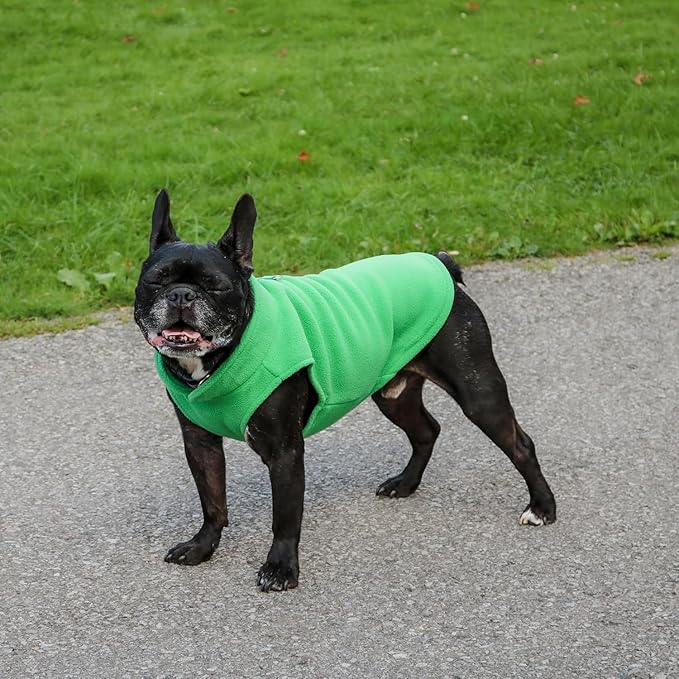 JACKO & CO - Fleece Vest Dog Sweater with Leash Ring - Soft, Warm & Lightweight Pullover Coat for Small & Medium Dogs, Puppies & Cats - Cozy Fall/Winter/Spring Pet Jacket (Green, X-Small 2-4lbs)