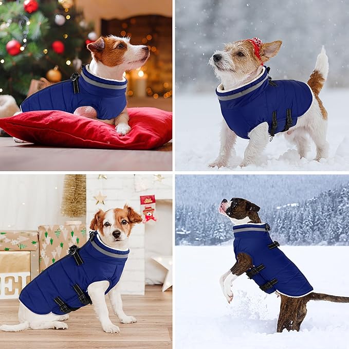 Dogcheer Dog Coat, Waterproof Dog Jacket with Harness, Reflective Adjustable Puppy Winter Coat with Zipper, Christmas Snow Jacket Clothes for Small Medium Large Dogs - Blue S