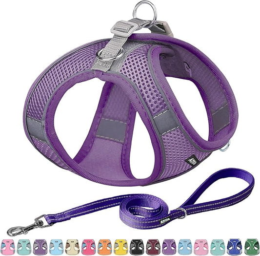 AIITLE Comfortable Dog Harness and Leash Set for Walking - Summer Step in Vest Harness,Reflective Bands, Adjustable No Pull Puppy Essentials, for Small Dogs and House Cats Pure Purple XS
