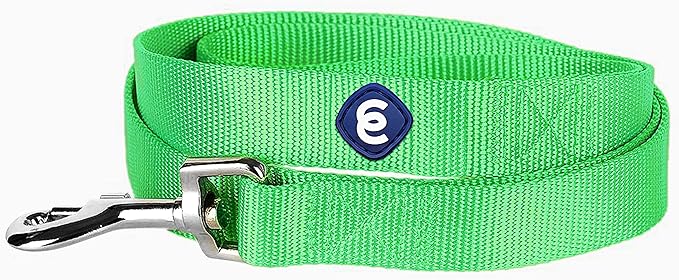 Blueberry Pet Essentials Neon Green Dog Leash for X-Small -5' * 3/8" Dogs | Heavy Duty Nylon Lead | Lightweight Puppy & Cat Leash for Walking & Training