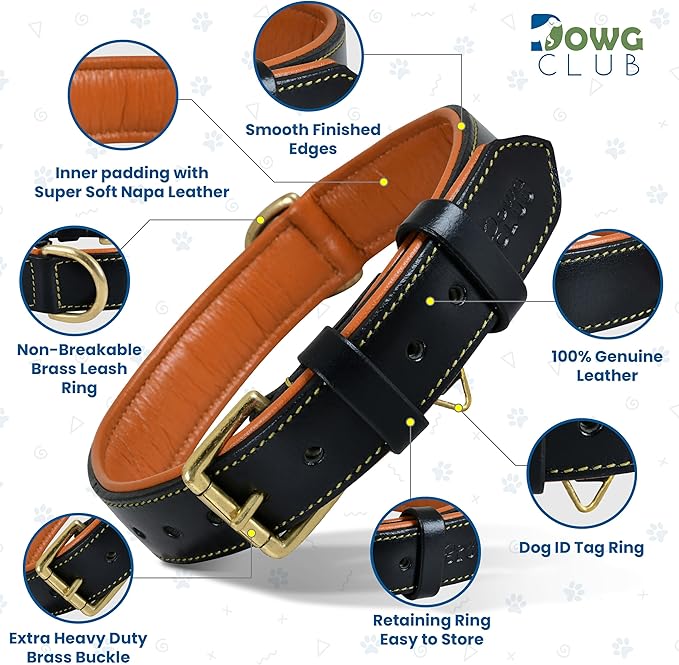 Leather Dog Collar for Medium Dogs, Black, 1 Inch Wide, Genuine Full Grain Leather, Heavy Duty with Soft Inner Padding, Comfortable and Durable (Medium (Fit Neck Size 14.5"-18.5"), Black)