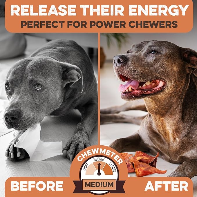 BRUTUS & BARNABY Pig Ear Halves for Dogs, 15 Ct. – All-Natural Single Ingredient Dog Chews, Slow Cooked & Fully Digestible Rawhide Alternative