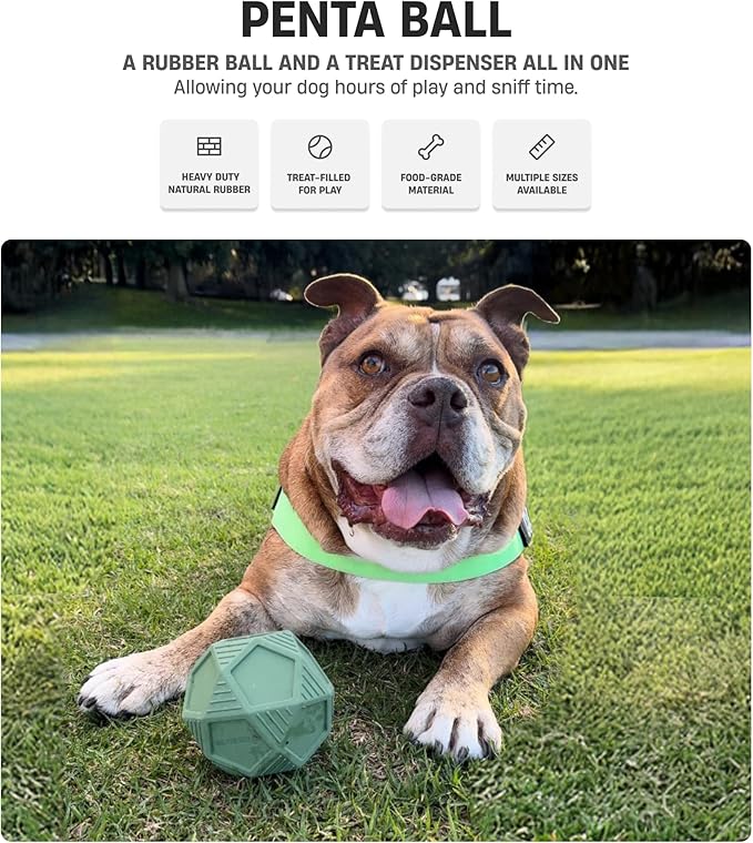 Dog Friendly Co. Penta Ball | Dog Treat Ball | Durable Treat Dispensing Toy | Heavy-Duty Silicone | Mentally & Physically Stimulating Play for All Breeds | Dark Green | Large