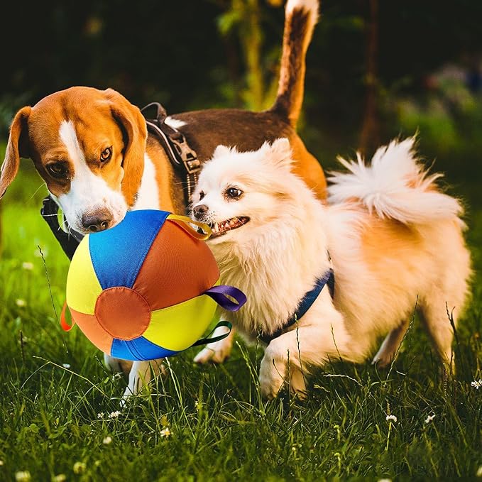 Herding Giant Tennis Dog Ball, Toy for Medium to Large Dogs, for Aggressive Chewers, Tough Herding Ball for Play & Exercise, Fun Doggy Birthday Gift (18-inch)