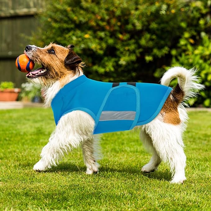 MIGOHI Dog Anxiety Relief Coat,Comfort Anxiety Vest for Dogs,Adjustable Dog Anxiety Calming Wrap for Fireworks,Thunderstorm,Travel,Separation,Anxiety Jacket for Small Dogs,XS,Blue