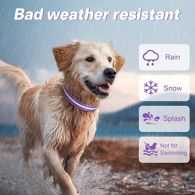 PcEoTllar Light Up Dog Collars, Led Dog Collar, Rechargeable, Night Walking, Waterproof, Glow in The Dark Dog Collars Light for Large Small Medium Dogs, Purple m