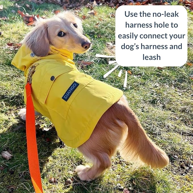 DJANGO Highland Dog Jacket & Raincoat – Water-Repellent, Lined Dog Coat with Hood, Adjustable Fit & Harness Hole – Lightweight Rain & Wind Jacket for Small & Medium Dogs up to 30 lbs (Yellow, X-Small)
