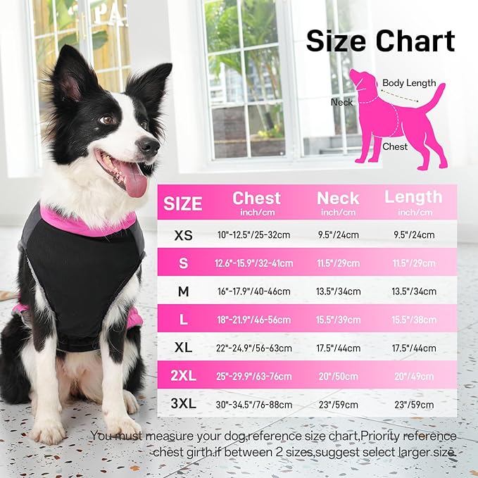 Warm Fleece Dog Coats for Small Dogs,D-Rings Waterproof Puppy Jacket for Cold Winter,Pink XS