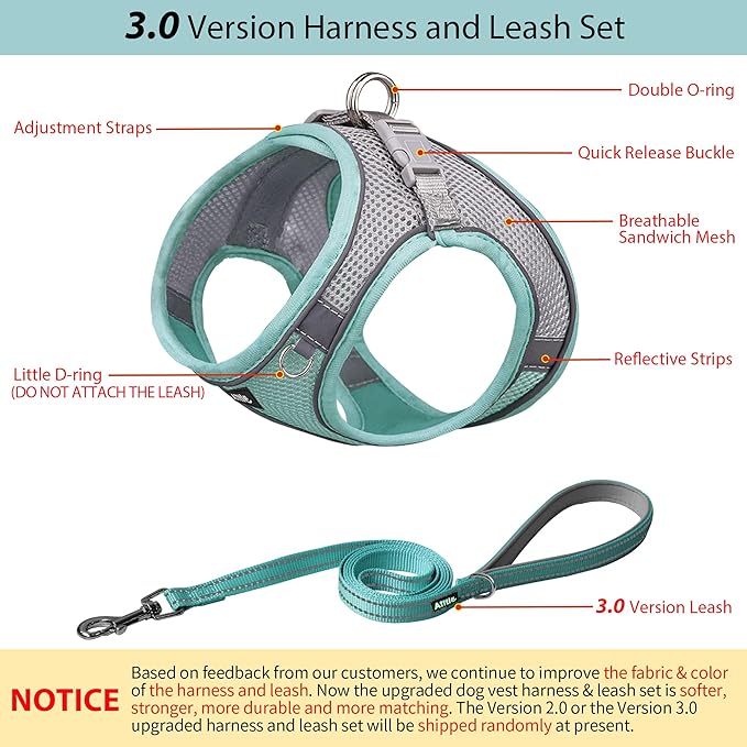 AIITLE Step in Dog Harness and Leash Set - Summer No Pull Escape Proof Vest Harnesses with Soft Mesh and Reflective Bands, Adjustable Pet Outdoor Harnesses for Small and Medium Dogs Turquoise M