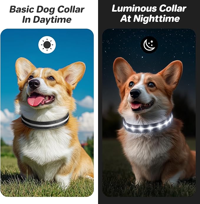 PcEoTllar Light Up Dog Collars, Led Dog Collar, Rechargeable, Night Walking, Waterproof, Glow in The Dark Dog Collars Light for Large Small Medium Dogs, Black m