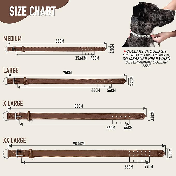 Riparo Dog Collar - Genuine Leather Dog Collars - Heavy Duty Dog Collars for Medium Large and Extra Large Dog Breeds (L: 1.25” Wide for 18” - 22” Neck, Brown)