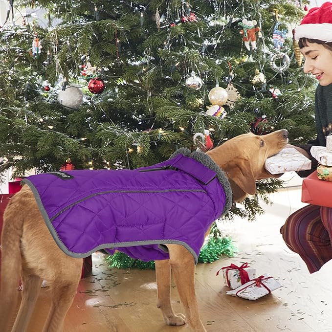 Fragralley Dog Coat Large, Waterproof Dog Jacket with Warm Fleece Lining, Adjustable Reflective Dogs Winter Coat, Turtleneck Pet Coats for Cold Weather (Purple XXXL)
