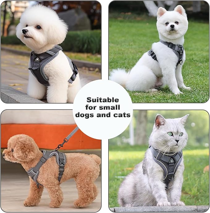 SOLMOONY Small Dog Harness,Soft Mesh Puppy Harness and Leash Set,No Escape Cat Harnesses for Training Walking,Reflective Adjustable Puppy Vest for Small Medium Dogs, Cats (Grey, L)