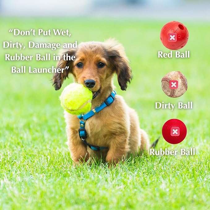 Automatic Dog Ball Launcher – 12 ETPU Balls & Bonus Collapsible Bowl, 3 Distance Settings (20ft/33ft/46ft), Smart Fetch Toy for Small & Medium Dogs, Indoor/Outdoor Use (Green)