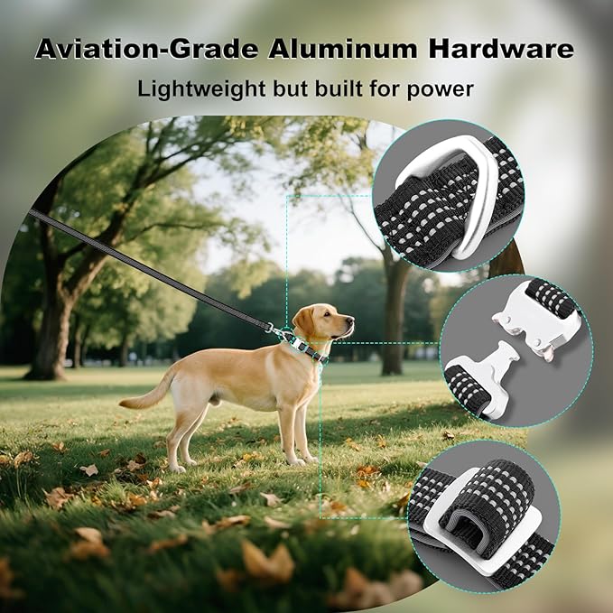 Plutus Pet Reflective Dog Collar with Aviation Aluminum Buckle, Neoprene Padded for Comfort, Lightweight, Heavy Duty Nylon Collar for Puppy Small Medium Large Dogs (Black, L)