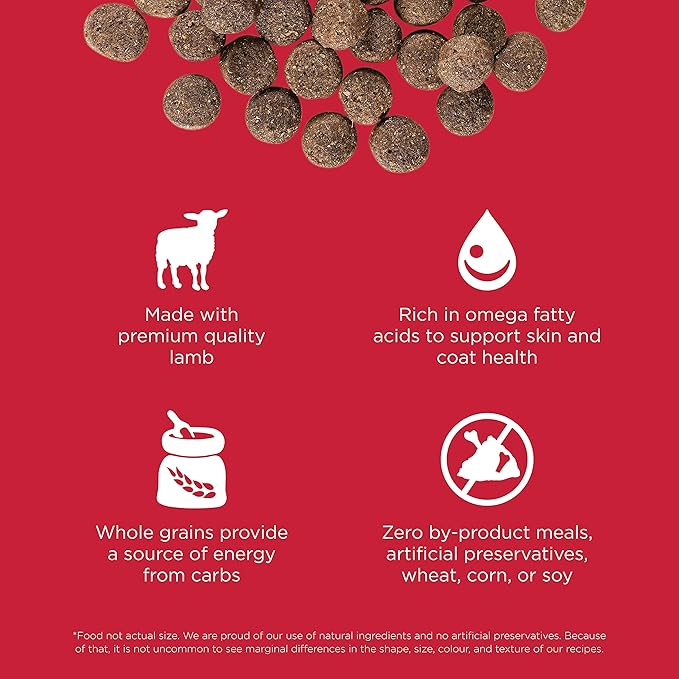 Go! Solutions Skin + Coat Care, Dry Dog Food, Lamb Recipe with Grains, 22 lb Bag