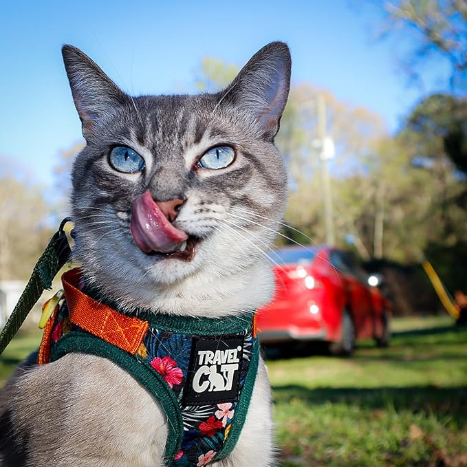 Travel Cat Harness and Leash Set - Adjustable Fit Mesh Cat Harness and Reflective Strap - Comfort Walking Vest for Kitten for Outdoor Walking, Hiking (XS, Hawaiian)