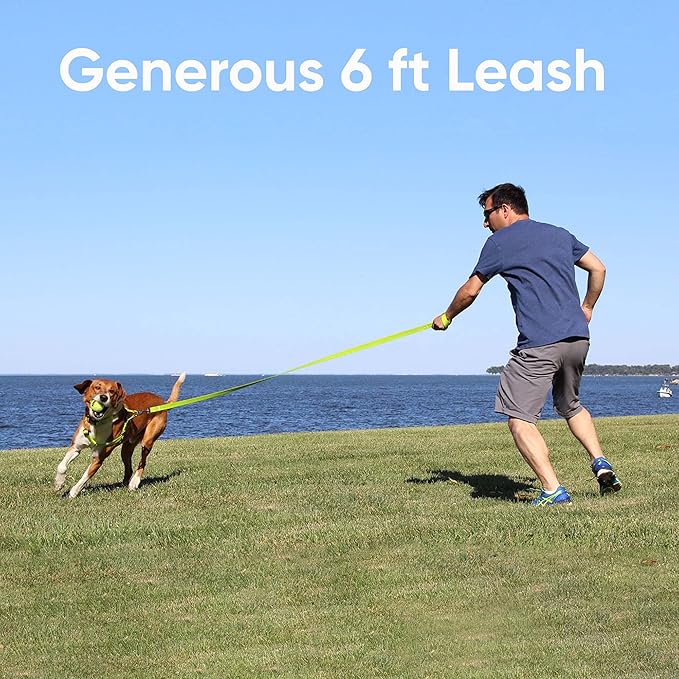 Pawtitas 6 FT Reflective Pet Puppy Leash - Comfortable Handle, Heavy Duty Dog Training, Available as Small Dog Pink Leash