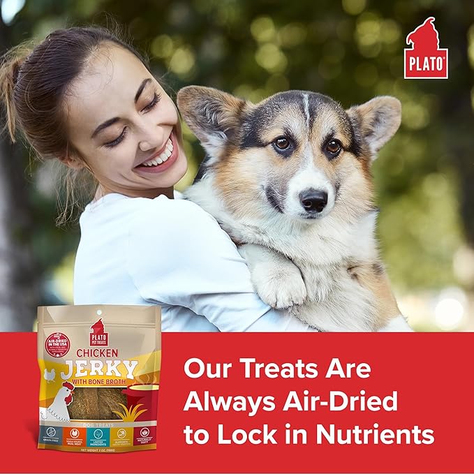 PLATO Pet Treats Jerky Dog Treats - Air-Dried Jerky for Dogs - Delicious, Real Meat Dog Treats - Grain Free - Supports Healthy Digestion - Chicken Jerky with Bone Broth 7oz