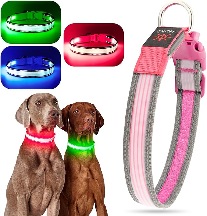 Light up Dog Collars- USB Rechargeable LED Dog Collar, Full Illuminated and Adjustable Dog Collar Light, Three Colors and Three Sizes for Small, Medium, Large Dogs (Medium, Pink-2)