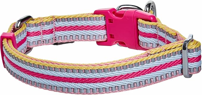 Blueberry Pet Safety Dog Collar with Dual D-Rings | 3M Reflective Multi-Colored Adjustable Collar in Pink and Pastel Blue | Soft Nylon Dog Collar for Active Small Dogs