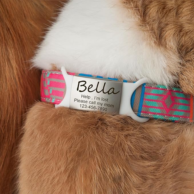 Anavia Slide On Silent Pet ID Tags, S/M/L/XL Personalized Multi-Color Silicone Band Cat Dog Name Tags, Customized Engraved Stainless Steel, Chew-Proof Quiet Dog Collar Tags (Small, White)