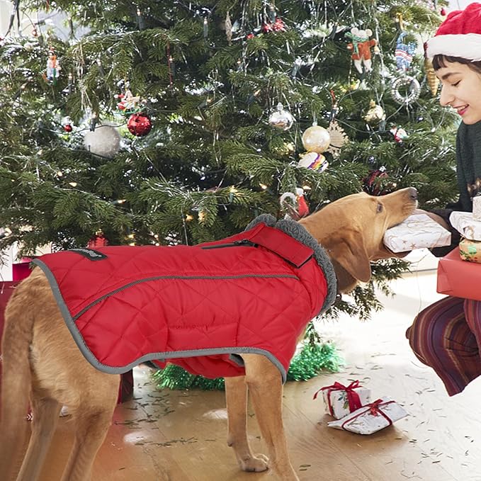 Fragralley Dog Coat Small, Waterproof Dog Jacket with Warm Fleece Lining, Adjustable Reflective Dogs Winter Coat, Turtleneck Pet Coats for Cold Weather (Red S)