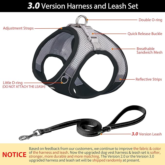 AIITLE Dog Harness, Summer No-Pull Cat Harness with a Leash, Adjustable Reflective Dog Vest, Cat Harness Escape Proof, Outdoor Walking, Camping for Extra Small Dogs and House Cats Black XXXS
