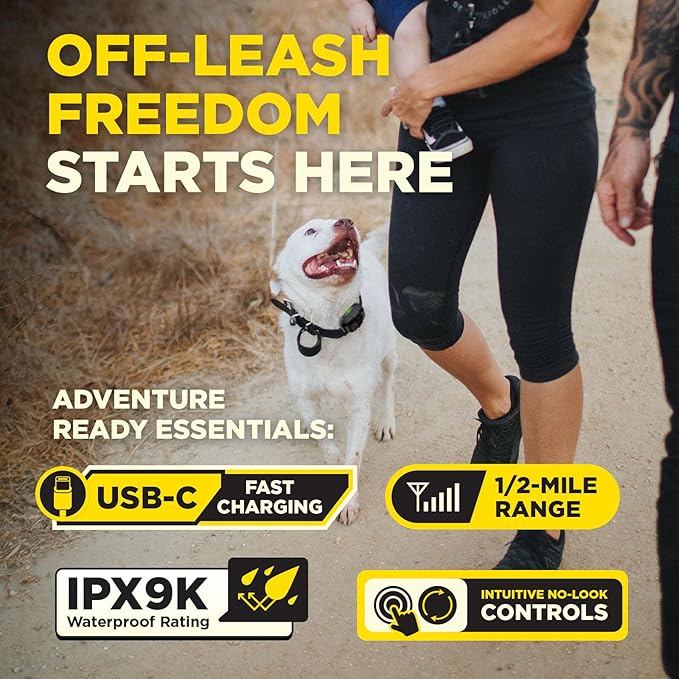Dogtra 200iQ Remote Training E Collar – 100 Levels, Tone, Vibration, 1/2 Mile Range – Compact, Waterproof, One-Handed Control for Dogs 10 lbs+ – Lightweight Design for Daily Training – Sunset