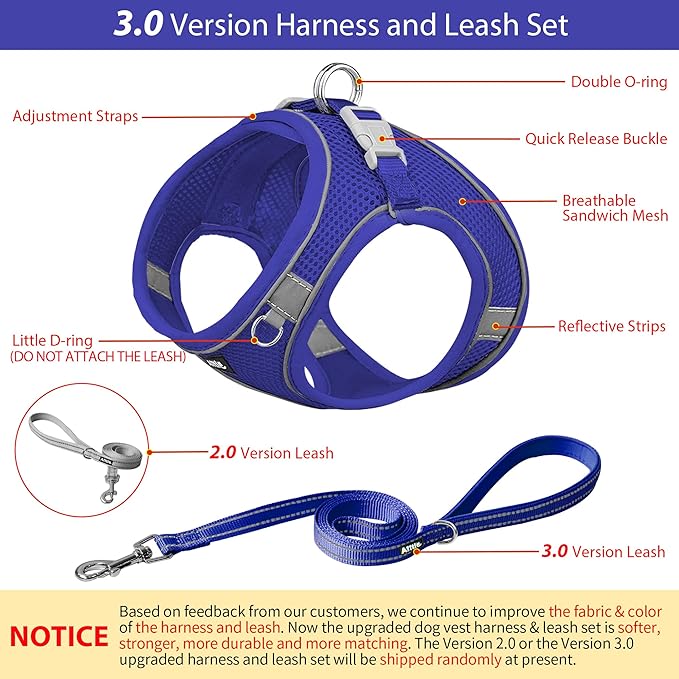 AIITLE Comfortable Dog Harness and Leash Set for Walking - Summer Step in Vest Harness,Reflective Bands, Adjustable No Pull Puppy Essentials, for Small Dogs and House Cats Royal Blue XS