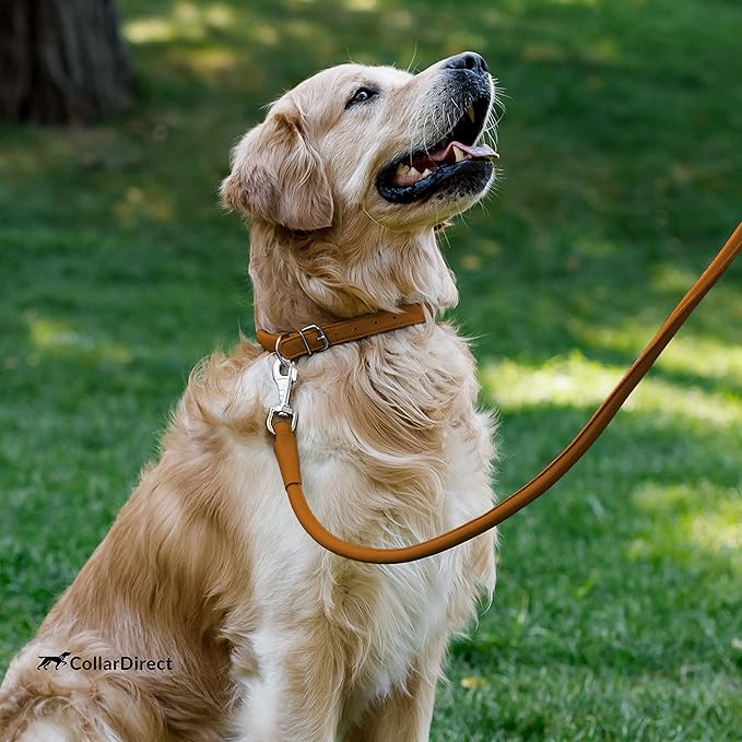 CollarDirect Rolled Leather Dog Collar, Soft Padded Round Puppy Collar, Handmade Genuine Leather Collar Dog Small Large Cat Collars 13 Colors (15-19 Inch, Cinnamon Textured)