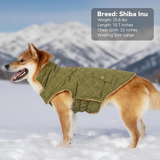 Dog Coat, Warm Soft Dog Winter Coats for Small Dogs, Waterproof Windproof Dogs Adjustable Jacket with Fleece Lined Turtleneck Doggy Snowsuit with Leash Hole, Green Large