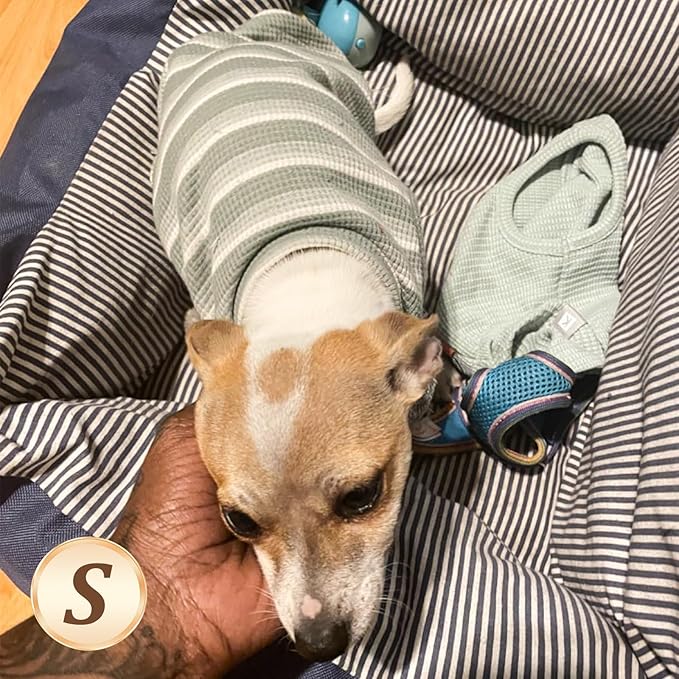 KYEESE 2Pack Waffle Dog Shirts for Small Dogs Stretchy Dog T-Shirts Lightweight Pet Tank Top Sleeveless Striped Pet Shirt Vest Breathable Cat Shirt, Small, Green+Striped