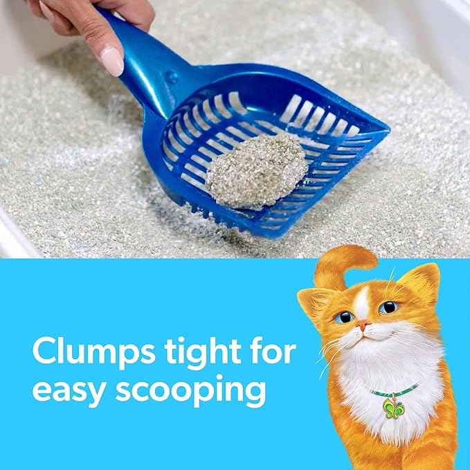 Fresh Step Advanced Clumping Litter with Febreze Freshness with Gain Scent, Fights Odor on Contact, 37 lbs. (2 x 18.5 lb. Box) (Package May Vary)