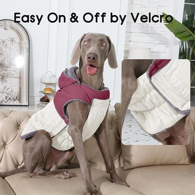 Detachable Hooded Dog Coat with Harness for Large Dogs,Super Warm Fleece Puppy Jacket for Cold Winter Doggie Coats,Red XXL