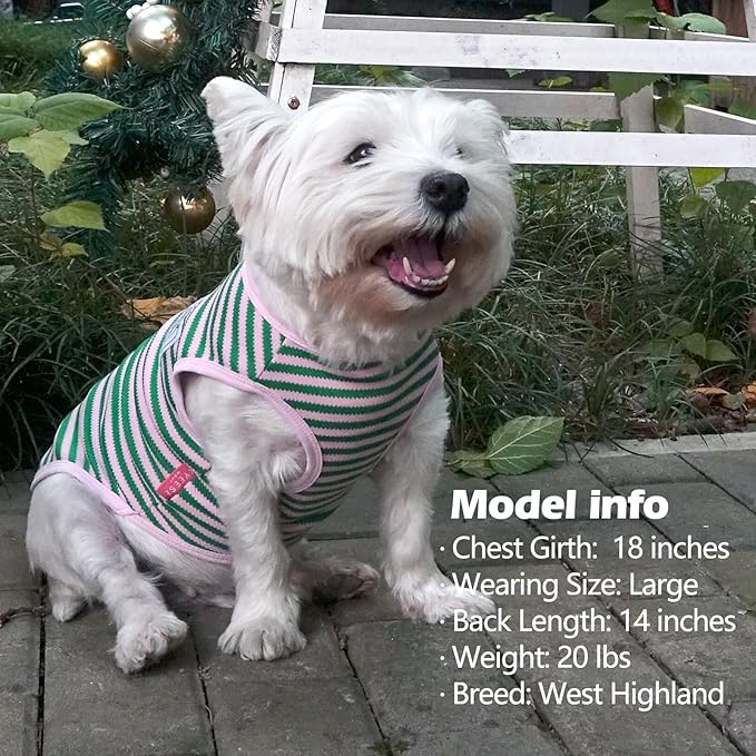 KYEESE 2Pack Dog Shirts Striped for Small Dogs Soft Stretchy Dog T-Shirts Lightweight Tank Top Sleeveless Vest Breathable Pet Apparel, Large, Green+Pink