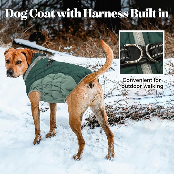 Lelepet Warm Dog Winter Coat Dog Coats for Small Dogs Waterproof Dogs Jacket with Harness Built in Reflective Cold Weather Coats Windproof Zip-Up Winter Fleece Vest Snowsuit Yorkie Teal Green S