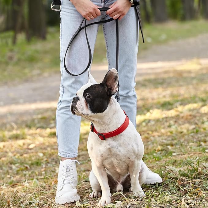 Dogline Biothane Waterproof Dog Leash Strong Coated Nylon Webbing with Black Hardware Odor-Proof Easy to Clean High Performance for Small or Large Dogs Made in USA 4 or 6 ft Lead, Black